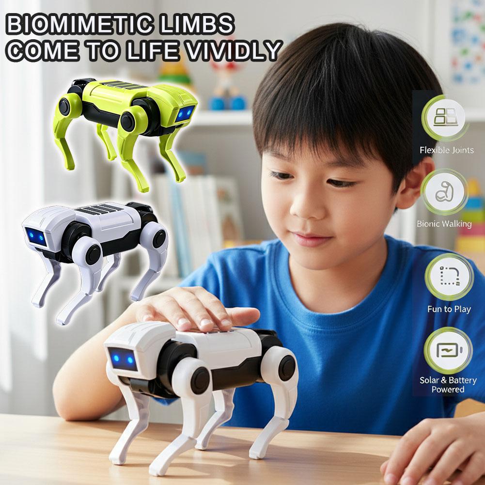 DIY Assembly RC Robot Dog Toy  - Diy Robot Electronics Kit 评论和价格