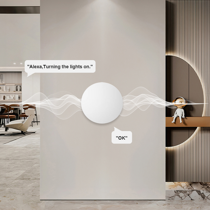 ZigBee Smart Wireless Button S - Diy Electronics Button 评论和价格